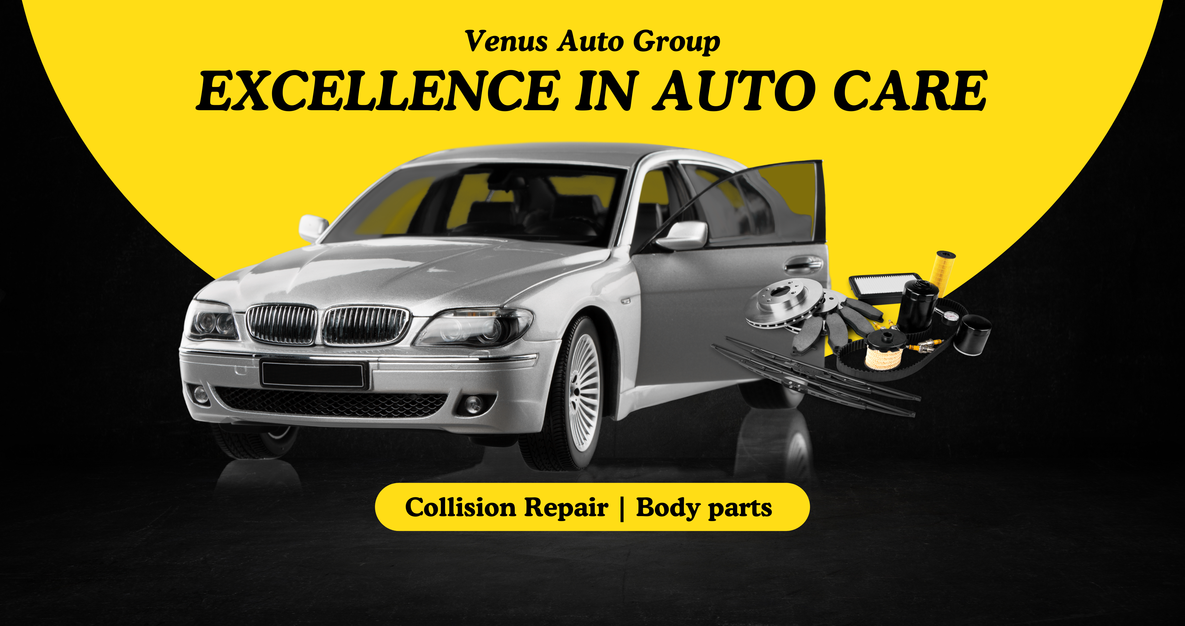 Venus Auto Parts Group (1)
